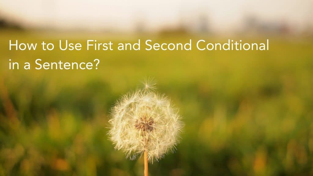Blog Article Thumbnail