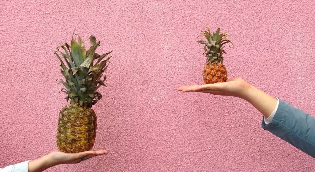 Blog Article Thumbnail